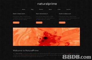 LinkDesign 專業(yè)網(wǎng)站設(shè)計(jì)服務(wù)，打造您的線上名片